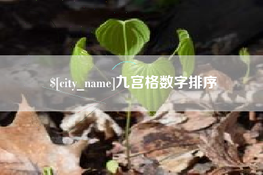 郓城九宫格数字排序