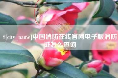 郓城中国消防在线官网电子版消防证怎么查询