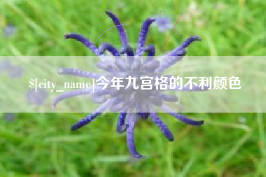 郓城今年九宫格的不利颜色