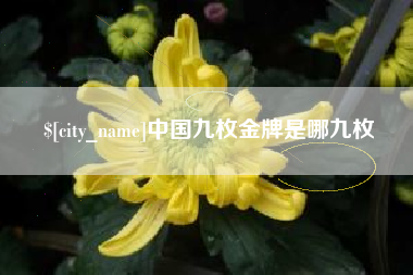 郓城中国九枚金牌是哪九枚