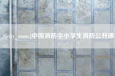 郓城中国消防中小学生消防公开课