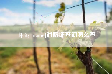 郓城消防证查询怎么查