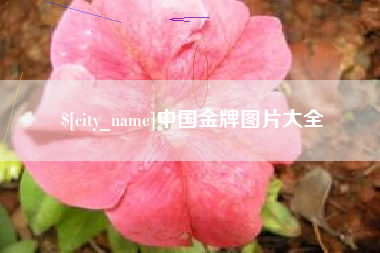 郓城中国金牌图片大全