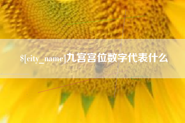 郓城九宫宫位数字代表什么