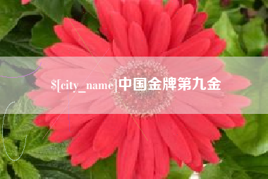 郓城中国金牌第九金
