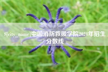 郓城中国消防救援学院2024年招生分数线