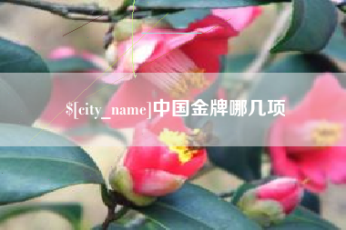 郓城中国金牌哪几项