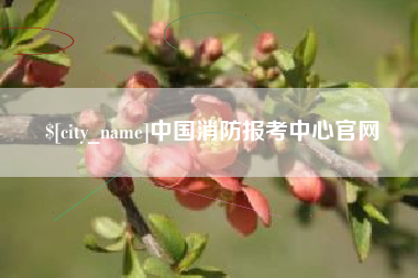郓城中国消防报考中心官网