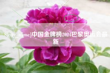 郓城中国金牌榜2024巴黎奥运会最新
