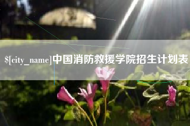 郓城中国消防救援学院招生计划表