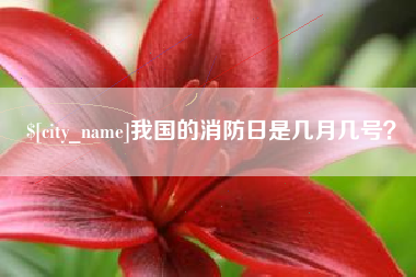 郓城我国的消防日是几月几号？