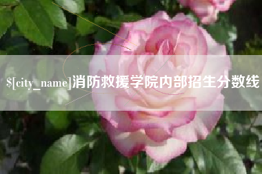 郓城消防救援学院内部招生分数线