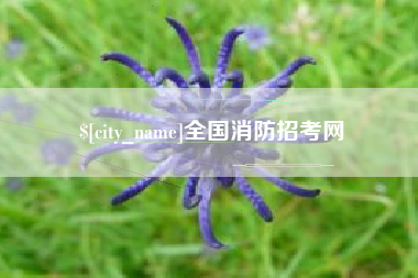 郓城全国消防招考网
