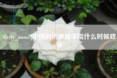 郓城中国消防救援学院什么时候政审