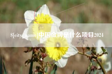 郓城中国金牌是什么项目2024
