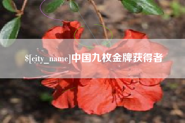 郓城中国九枚金牌获得者