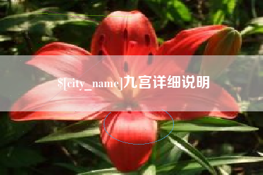 郓城九宫详细说明