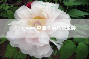 郓城中国队第八块金牌