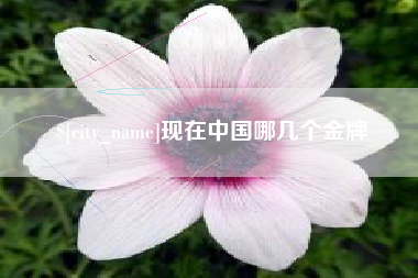 郓城现在中国哪几个金牌