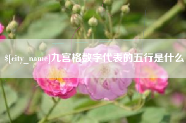 郓城九宫格数字代表的五行是什么