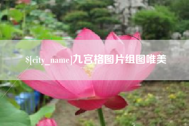 郓城九宫格图片组图唯美