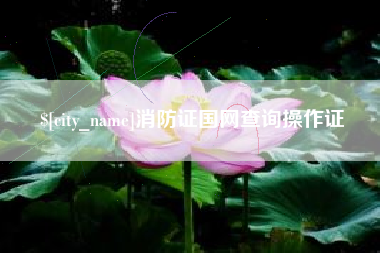 郓城消防证国网查询操作证