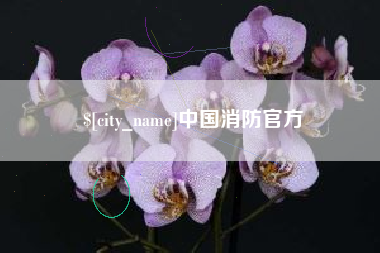 郓城中国消防官方