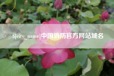 郓城中国消防官方网站域名