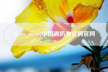 郓城中国消防考试网官网