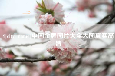 郓城中国金牌图片大全大图真实高清