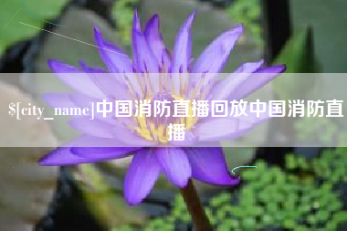 郓城中国消防直播回放中国消防直播
