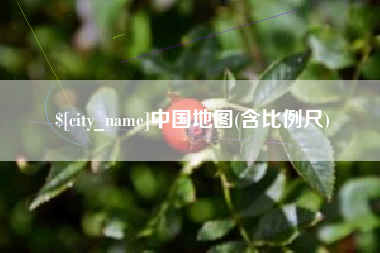 郓城中国地图(含比例尺)