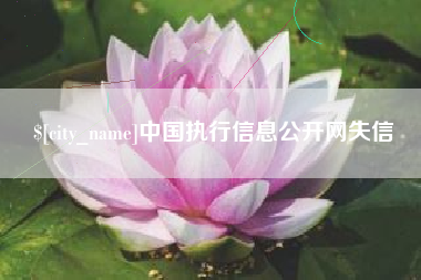 郓城中国执行信息公开网失信