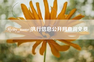 郓城执行信息公开网查询免费