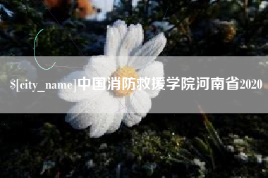 郓城中国消防救援学院河南省2020